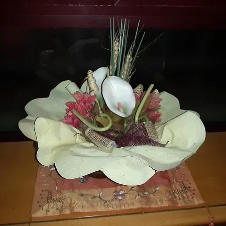 酒店 阿尔伯格索尼亚酒店 *
